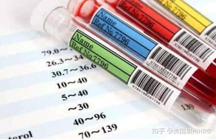 移植d5的4bb胚胎质量怎么样（成功率有多高？）