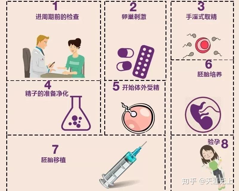 始基子宫能供精试管可以选择性别婴儿吗（专家解读始基子宫是什么意思）
